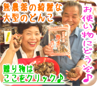 ������������ �緿�ɤ�